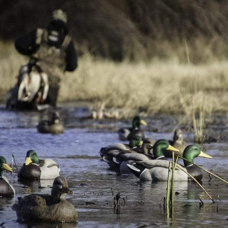 Doa Refuge Series Mallards 6 Pack