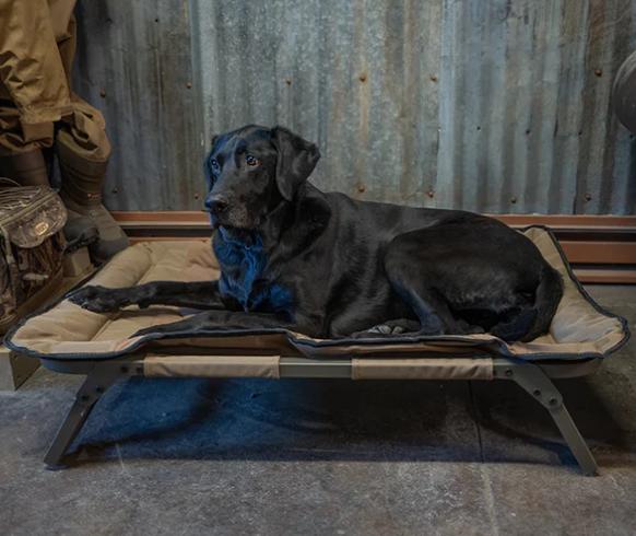 Simmons' Sporting Goods | Avery ASD Dog Cot